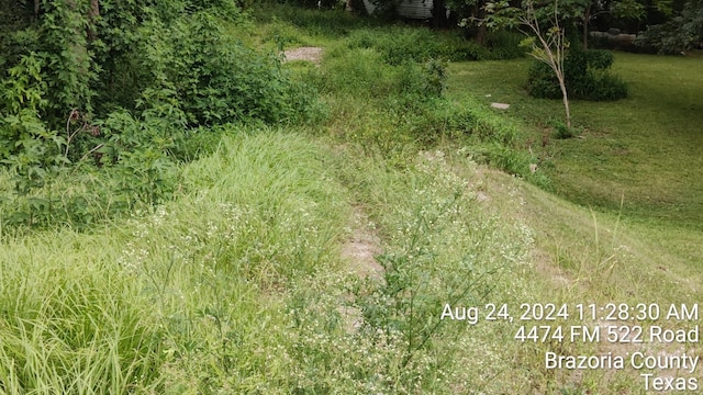 4494 Fm 522nd Rd, Brazoria, TX 77422 - photo 2