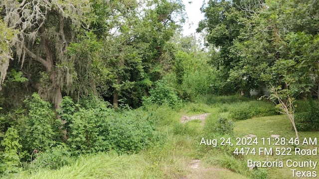 4494 Fm 522nd Rd, Brazoria, TX 77422 - photo 3