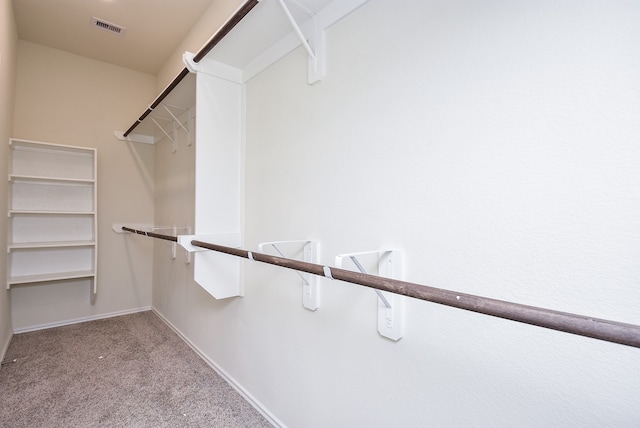 spacious closet with light colored carpet