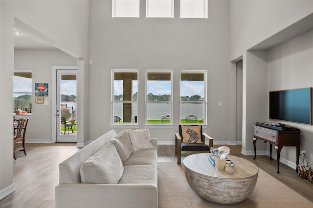 living room with a towering ceiling, light hardwood / wood-style floors, and plenty of natural light