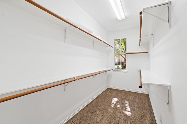 spacious closet with dark carpet