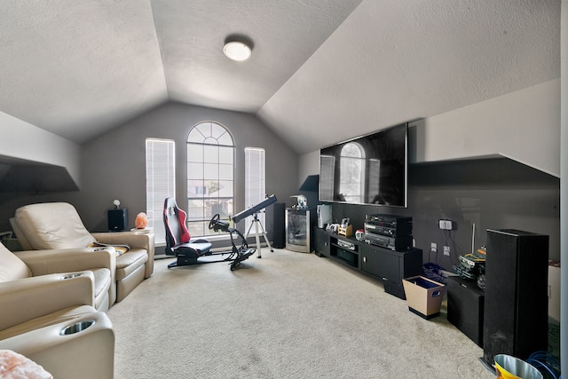 workout room with carpet, a textured ceiling, and lofted ceiling