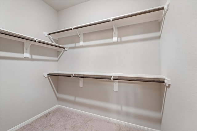 walk in closet featuring light colored carpet