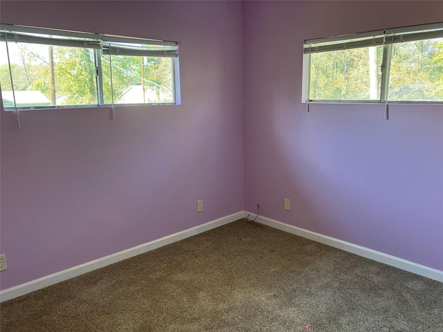 unfurnished room with carpet flooring and a healthy amount of sunlight