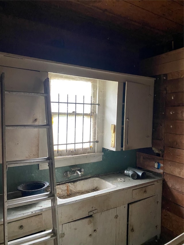 kitchen featuring sink and wooden walls