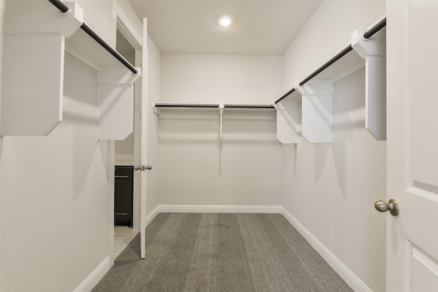 walk in closet with carpet floors