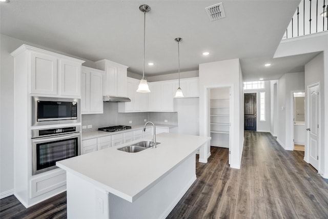 kitchen with white cabinetry, sink, an island with sink, and stainless steel appliances