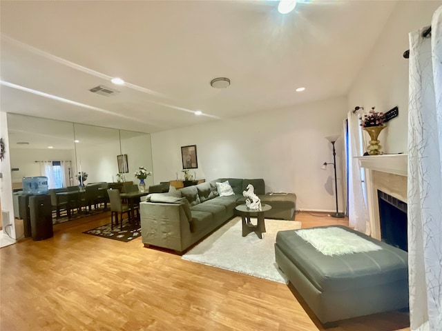 living room with wood-type flooring