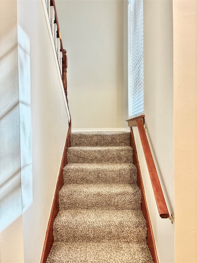 stairs featuring carpet and plenty of natural light