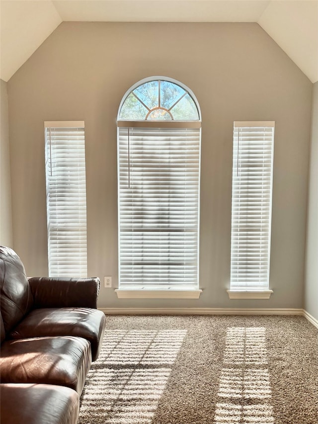 sitting room with carpet and vaulted ceiling