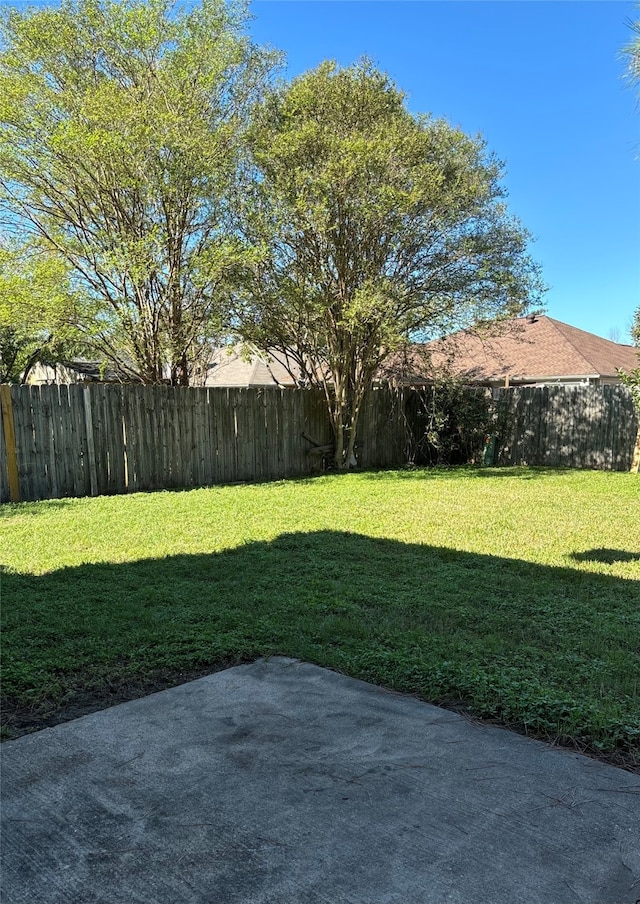 view of yard featuring a patio area