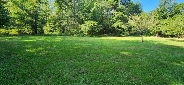 5680 State Highway 43 S, Jefferson, TX 75657 - photo 7