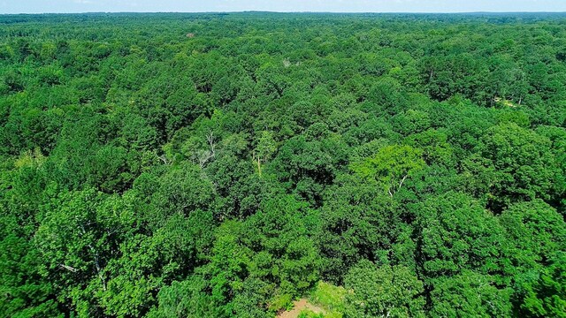 5680 State Highway 43 S, Jefferson, TX 75657 - photo 43