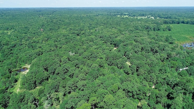 5680 State Highway 43 S, Jefferson, TX 75657 - photo 44