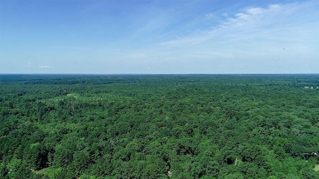 5680 State Highway 43 S, Jefferson, TX 75657 - photo 45