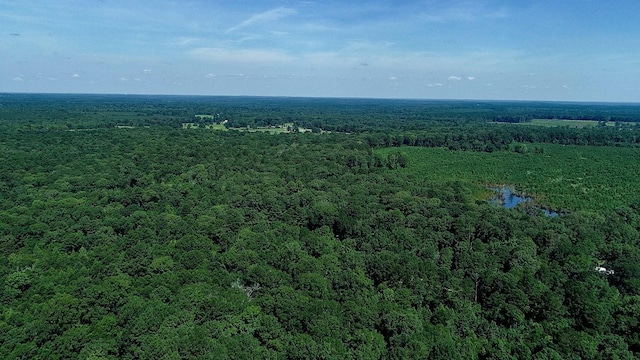 5680 State Highway 43 S, Jefferson, TX 75657 - photo 46