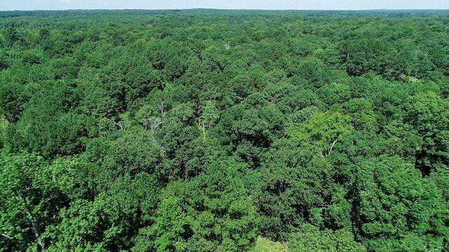 5680 State Highway 43 S, Jefferson, TX 75657 - photo 47