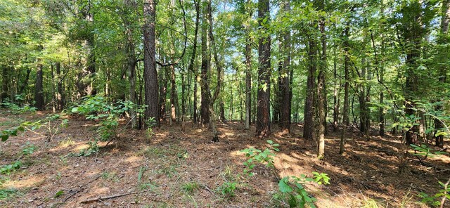 5680 State Highway 43 S, Jefferson, TX 75657 - photo 24
