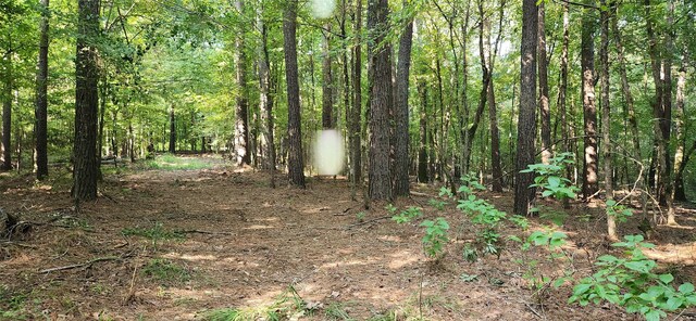 5680 State Highway 43 S, Jefferson, TX 75657 - photo 25