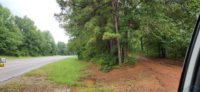 5680 State Highway 43 S, Jefferson, TX 75657 - photo 27