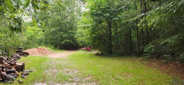 5680 State Highway 43 S, Jefferson, TX 75657 - photo 28