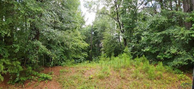 5680 State Highway 43 S, Jefferson, TX 75657 - photo 29