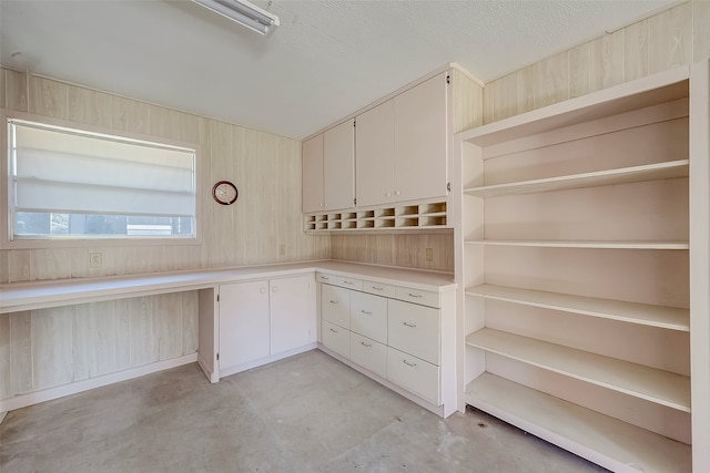 kitchen with wooden walls