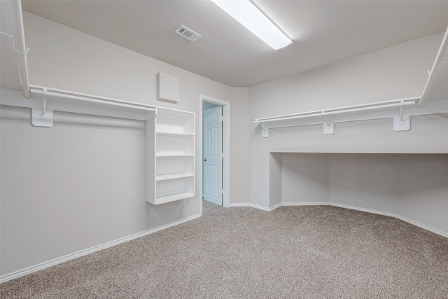 walk in closet featuring carpet