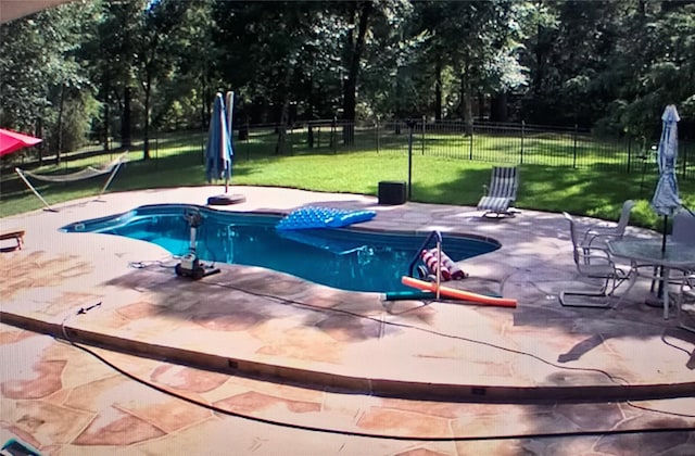 view of pool featuring a patio and a lawn