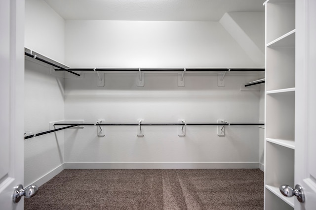 walk in closet with dark colored carpet