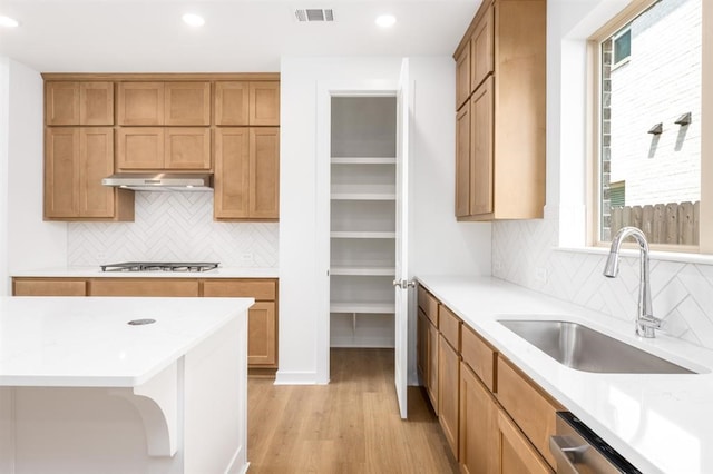 7427 Cattail Falls Ln, Porter, TX 77365 - kitchen with stainless steel appliances, under cabinet range hood, a sink, light wood-style floors, and healthy amount of natural light