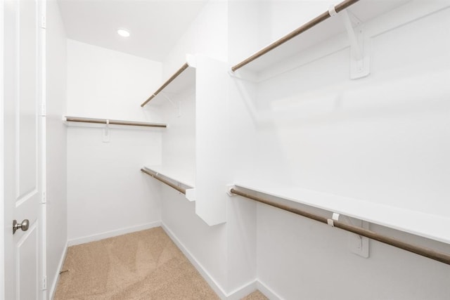 7427 Cattail Falls Ln, Porter, TX 77365 - walk in closet with light colored carpet