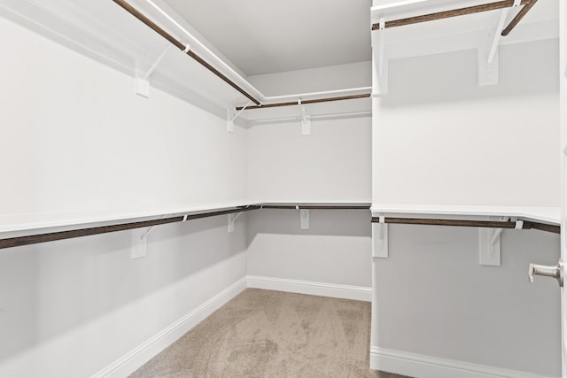 spacious closet with light carpet