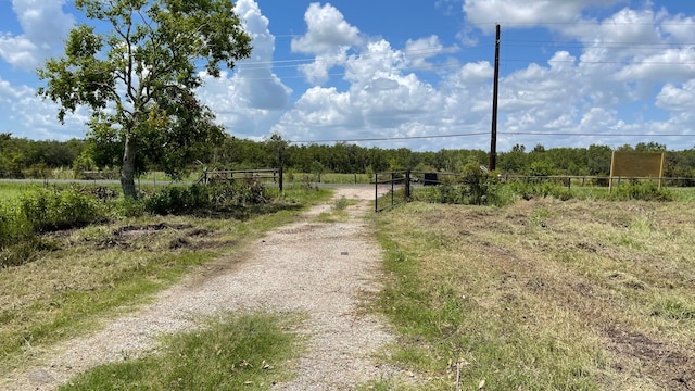 Listing photo 3 for 000 County Road 62, Manvel TX 77583