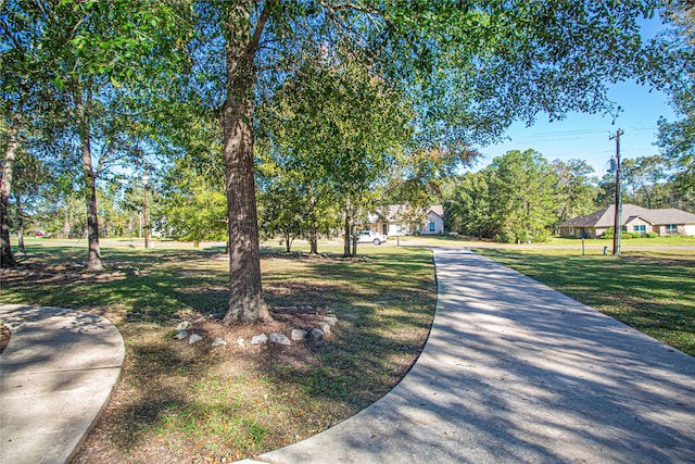 view of property's community featuring a lawn