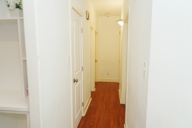 corridor featuring dark wood-type flooring