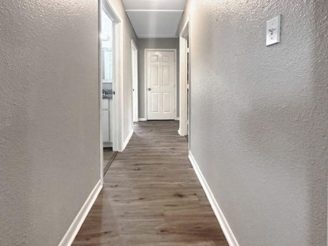 corridor featuring dark hardwood / wood-style flooring