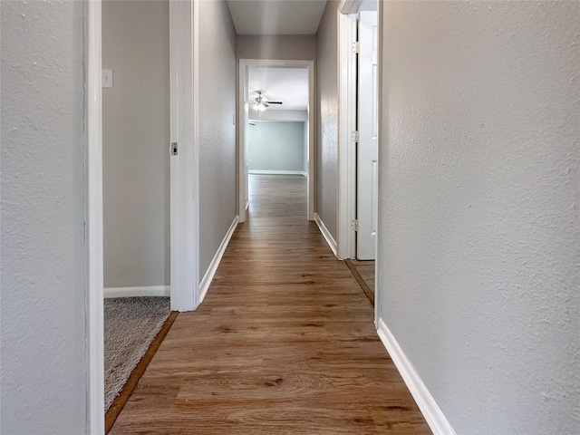 corridor featuring light hardwood / wood-style flooring