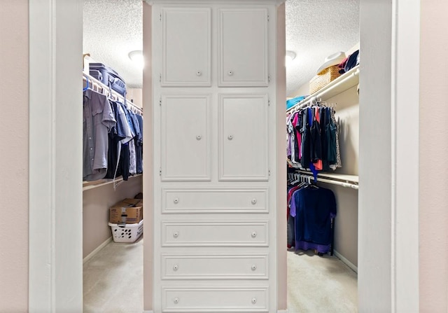 spacious closet with light carpet