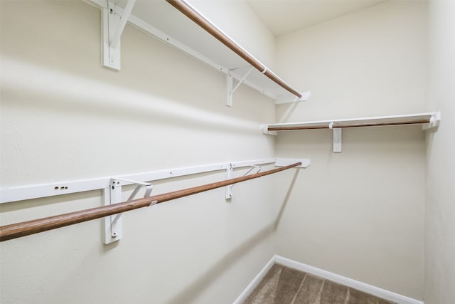 walk in closet featuring carpet flooring