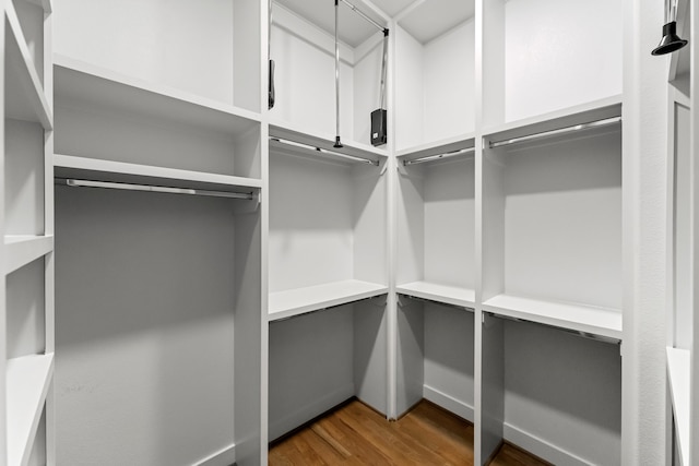 walk in closet featuring hardwood / wood-style floors