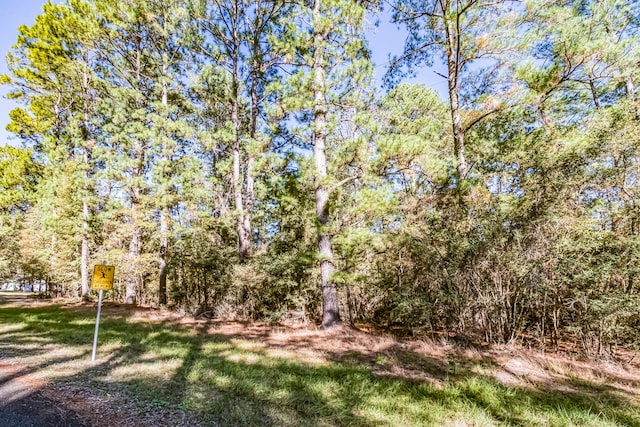 Listing photo 3 for TBD Mockingbird Hills, Livingston TX 77351