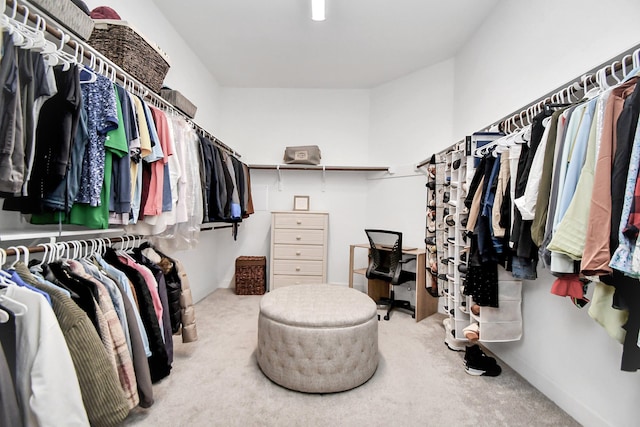 walk in closet featuring carpet floors