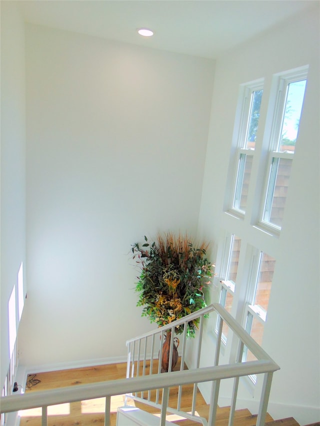 staircase featuring wood-type flooring