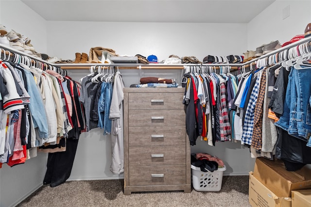 walk in closet with light colored carpet