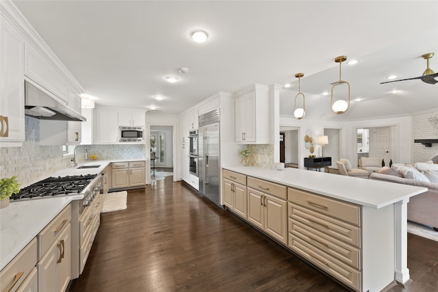 kitchen featuring white cabinetry, sink, dark wood-type flooring, tasteful backsplash, and built in appliances