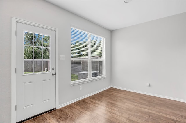 doorway featuring plenty of natural light and light wood-type flooring