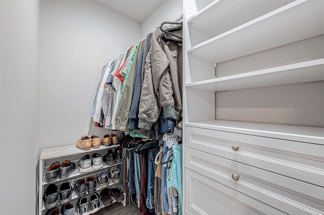 spacious closet featuring dark hardwood / wood-style flooring