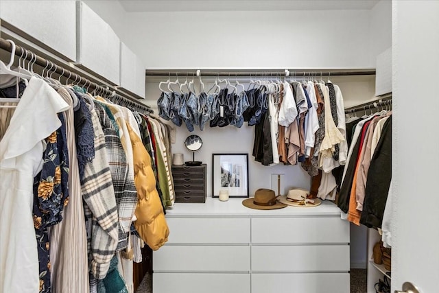 view of spacious closet