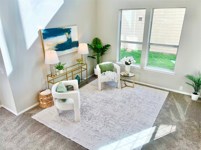 sitting room with carpet flooring